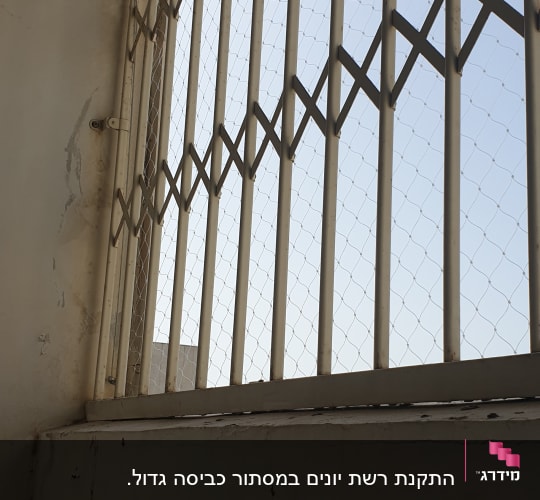 רשת מתכת על חלון למניעת כניסת יונים